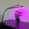Lempa 20 LED 2 vnt. Gardlovo augalu auginimui 19241 m