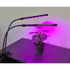 Lempa 20 LED 2 vnt. Gardlovo augalu auginimui 19241 m