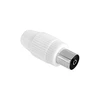Lizdas GRIEČIŠKOS Cabletech TV antenos lizdas