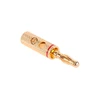 Wtyk Priedas Cabletech 4mm, 1 vnt.
