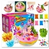 Lean Toys Kristalų auginimo rinkinys su terariumu ir apšvietimu