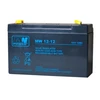 Mw Power MWPower MWP 12V 12Ah F2(250) AGM akumuliatorius, 12 metų