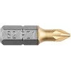Koncówki PZ1 x 25 mm atsuktuvo antgaliai, 2 vnt.