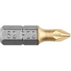 Koncówki PZ2 x 25 mm atsuktuvo antgaliai, 2 vnt.