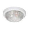 Sieninis šviestuvas Orno 7070T-ALFA, šviestuvas, 100 W, E27, IP44, skaidraus stiklo gaubtas