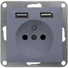 Gniazdo Vienguba lizdas su USB įkrovikliu, antracitas