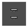 Orno NOEN USB x 2, dviejų prievadų modulinis 45x45 mm su USB įkrovikliu, 2.1A 5V DC, juodas