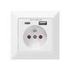 Orno Viengubas elektros lizdas 2P+Z su USB-A ir USB-C išvestimis