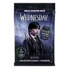 PANINI trečiadienio rinkinys pradedantiesiems 00738 07381