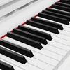 Kruger &amp; Matz Pianino KrugerMatz KMDP-755 skaitmeninis pianinas, blizgiai baltas