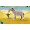 71289 PLAYMOBIL® Wiltopia, Afrikinis asilas
