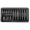 Zestaw Rinkinys Antgalių rinkinys 10 mm, torx antgaliai, T20-T55, ilgis 30/75 mm, 15 vnt. proline