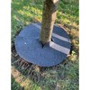 Zestaw Rinkinys Bertoni piktžolių diskų rinkinys, 3 vnt. - 40 cm, pilkas