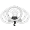 RTO Žiedinė lempa led selfie ring statyw pilot + telefono laikiklis 210cm