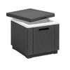 Keter Šaltdėžė Ice Cube, grafito spalvos