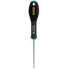 Atsuktuvas Stanley Fatmax T10x75 mm