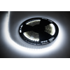 Sznur 25 m Rebel LED girlianda (60x5050SMD/m), šaltai balta, 12V