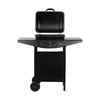Teesa BBQ 2000 Dujinis grilis - 2 degikliai