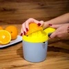 Teesa Rankinė citrusinių vaisių sulčiaspaudė