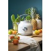 Adler | Virdulys with a Thermomete | AD 1346w | Electric | 2200 W | 1.7 L | Nerūdijantis plienas | 360° rotational base | Baltas