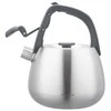 Virdulys, Nerūdijančio plieno virdulys su švilpuku, šlifuoto sidabro spalvos, talpa 2,5 l, Klausberg, kb-7773