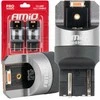 Amio W21/5W LED lemputės su metaliniu korpusu