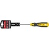 Wkrętak Torx atsuktuvas su skylute t10*100mm prof.'st' proline komplekte