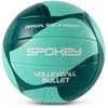 Spokey BULLET tinklinis