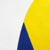 Spokey Kamuolys siatkowa Bump II mėlyna-balta dydis 5 (837405)