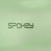 Žemės riešutų kamuolys Spokey LOVA