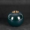 Eurofirany C/AMORA2/ŚWI/1 9X9X8/X2 C.ZIEL+Z