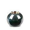 Eurofirany C/AMORA2/ŚWI/1 9X9X8/X2 C.ZIEL+Z