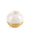 Eurofirany C/ARI/ŚWI/01 10X10X9 BEIGE+GOLD