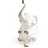 Eurofirany C/AVANI/FIG/04 13X9X23 K