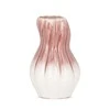Eurofirany C/EVITA/WAZ/01 16X16X25 K+ROŽINĖ