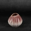 Eurofirany C/EVITA/WAZ/03 18X18X14 K+ROŽINĖ