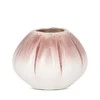 Eurofirany C/EVITA/WAZ/03 18X18X14 K+ROŽINĖ