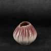 Eurofirany C/EVITA/WAZ/03 18X18X14 K+ROŽINĖ