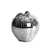 Eurofirany C/MIRONA/FIG/04 9X9X11 SREB