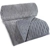 Eurofirany CHON/CHELEN1/SRE 170X210 SREB Lovatiesė