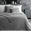 Eurofirany CHON/NINA/SREB 170X210 SREB Lovatiesė