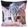 Eurofirany CHP/ANIMAL/75 45X45