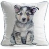 Eurofirany CHP/ANIMAL/83 45X45