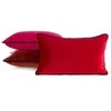 Eurofirany CHP/GAJA/3/AMA 30X50 AMA/WYP/PIPING