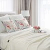 Eurofirany CHP/VELVET/156 45X45 B+POMA/VAMZDINIAI