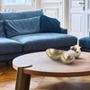 Eurofirany Dekoratyvinis metalinis dubuo, auksinė apdaila, modernus dizainas, elegantiškas namų akcentas, universalus serviravimo indas, stilingas interjero dekoras, prabangi detalė