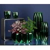 Eurofirany CS / NEGRO / ŚW / 01 12X12X12 Žalias