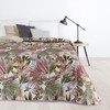 Eurofirany D91/N/PARROT/ZIE 200X220 ŽALIA+ROŽINĖ Lovatiesė Lovatiesė