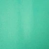 Eurofirany D91 / Z / ADORE / MINT 140X250 PAKEITIMAS