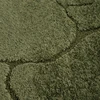 Eurofirany DY/ALBA6 OLIV 80X150 / 11MM